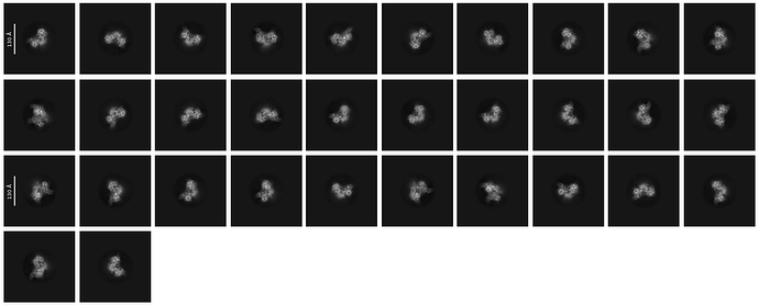 J221_selected_32_classes