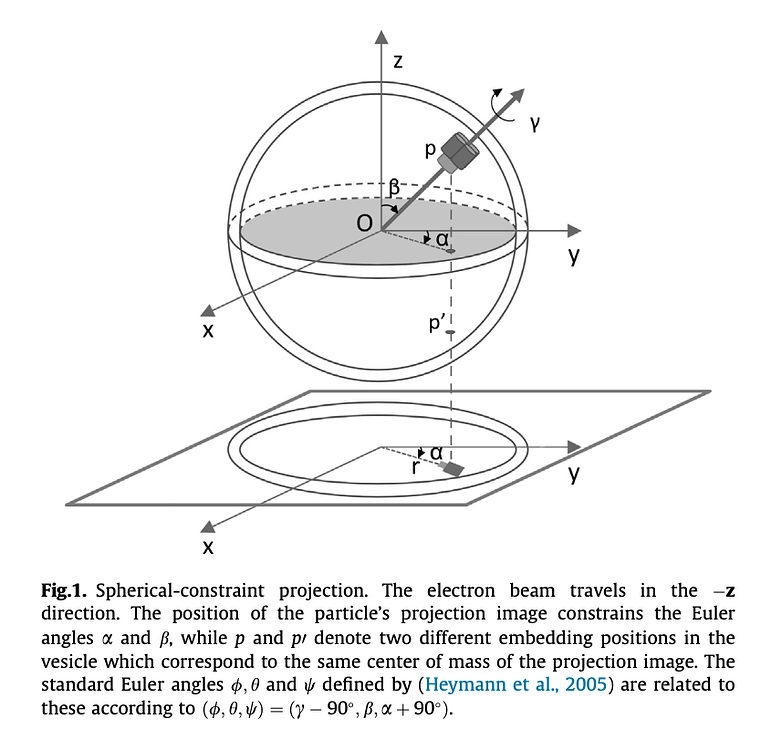 Conversion Between Euler Angles to AA representation - 3D ...