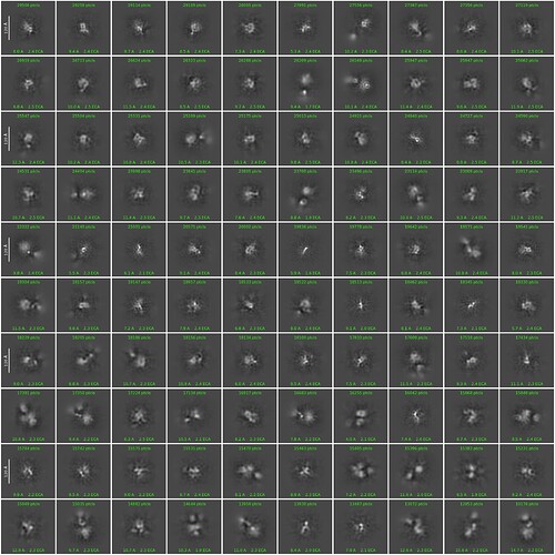 J32_2d_classes_for_iteration_42