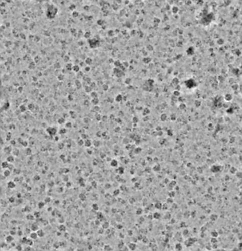 P15-J301-266604850328387617