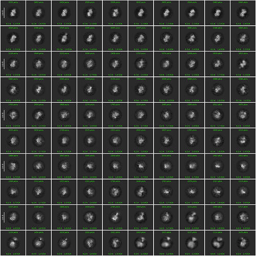 2d_classes_300px