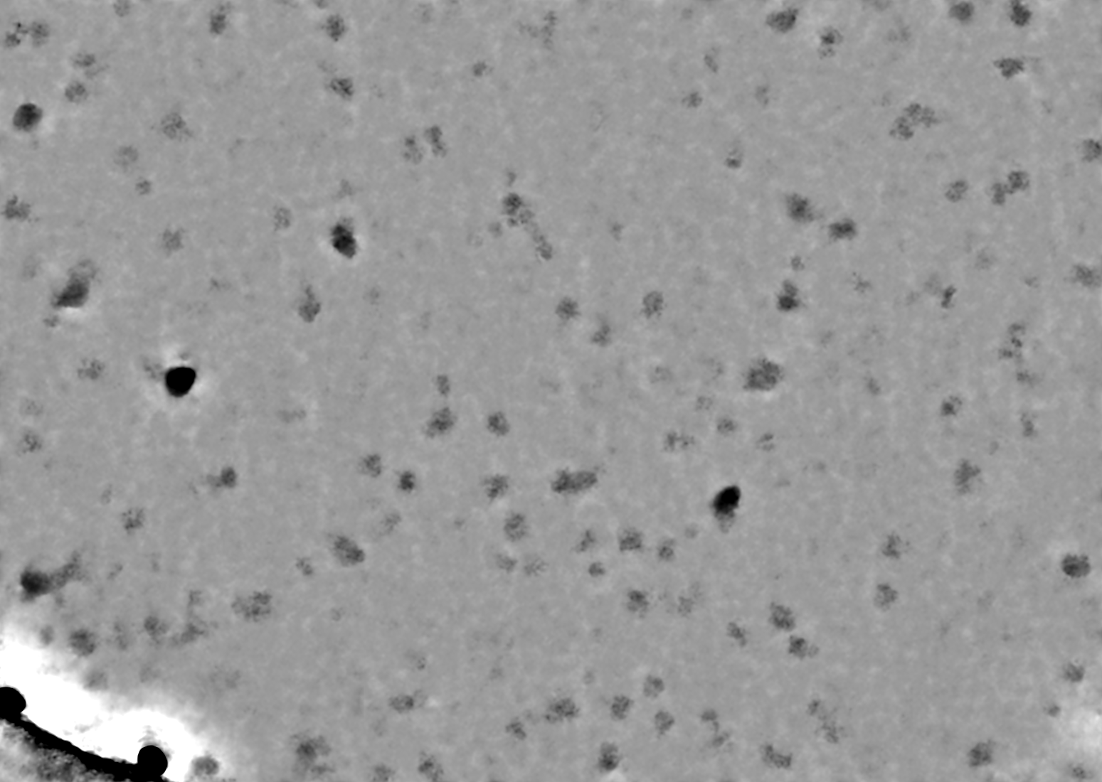micrographs_two_frame_J13_J26