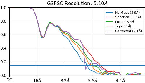 P4_J1060_fsc_iteration_004_after_fsc_mask_auto_tightening