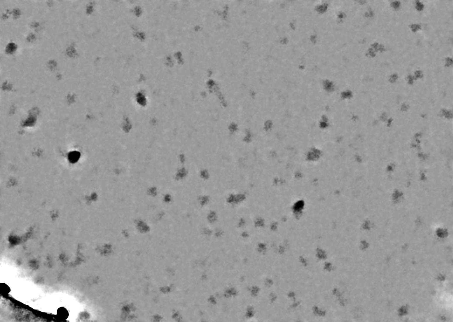 micrographs_two_frame
