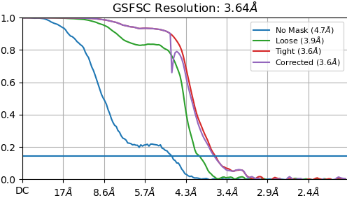 P4_J383_fsc_iteration_005_after_fsc_mask_auto_tightening