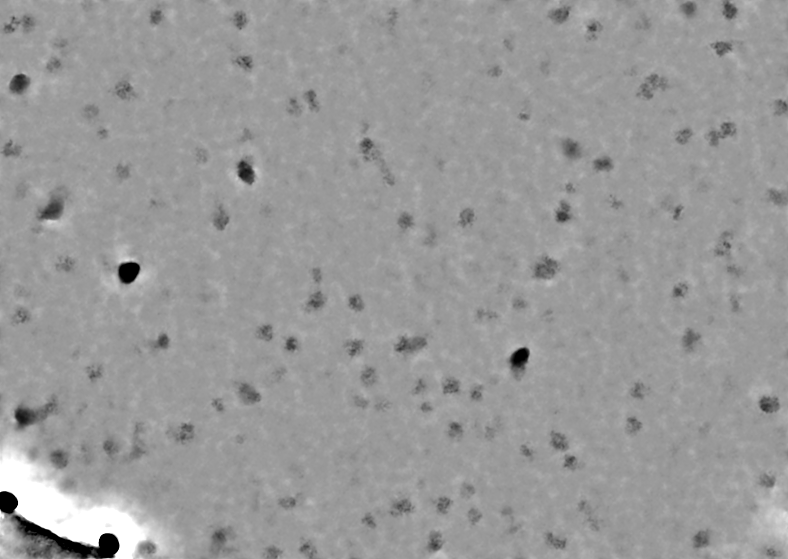 micrographs_three_frame_J34_J35_J33