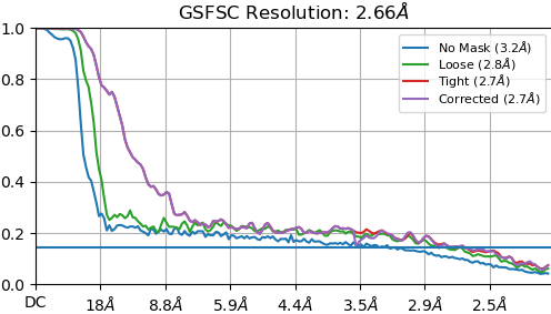 J216_fsc_iteration_001_after_fsc_mask_auto_tightening (1)