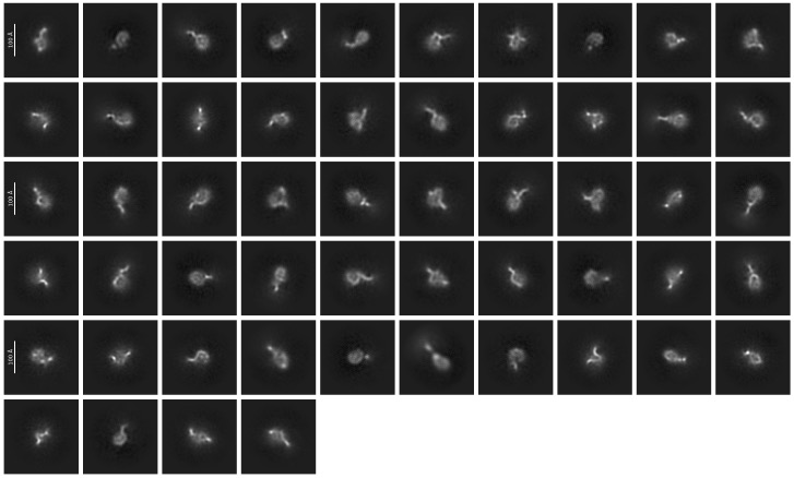 J798_selected_54_classes