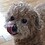 Beom95